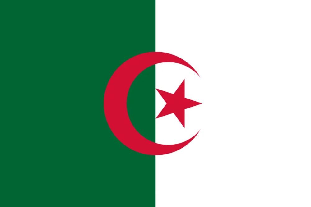 (𝐟𝐚𝐧) 🇵🇹 tweet media