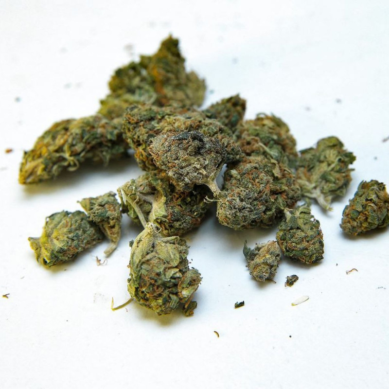 République tweet media