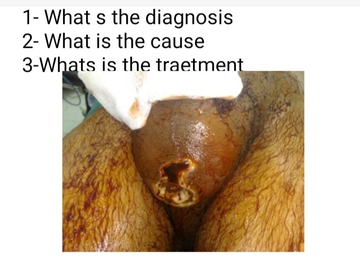 Dr Motasem Al-Gradey tweet media