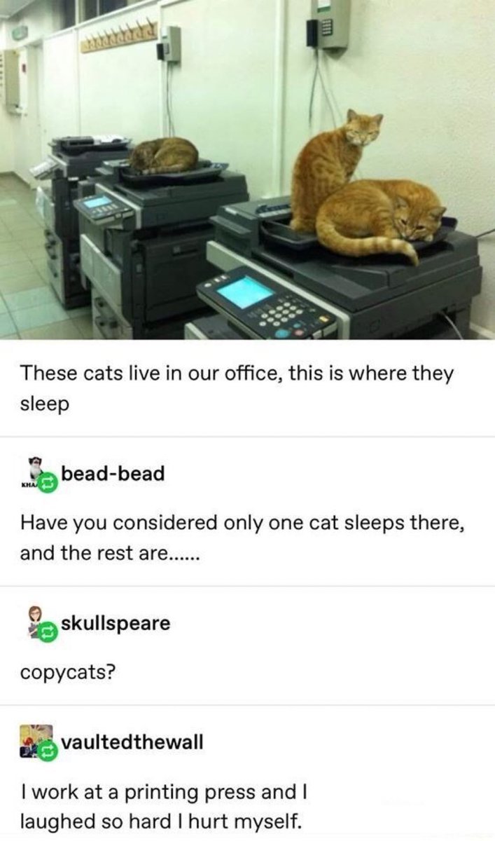 CORIEA50 🤩❤️🥰🤣🤗 tweet media