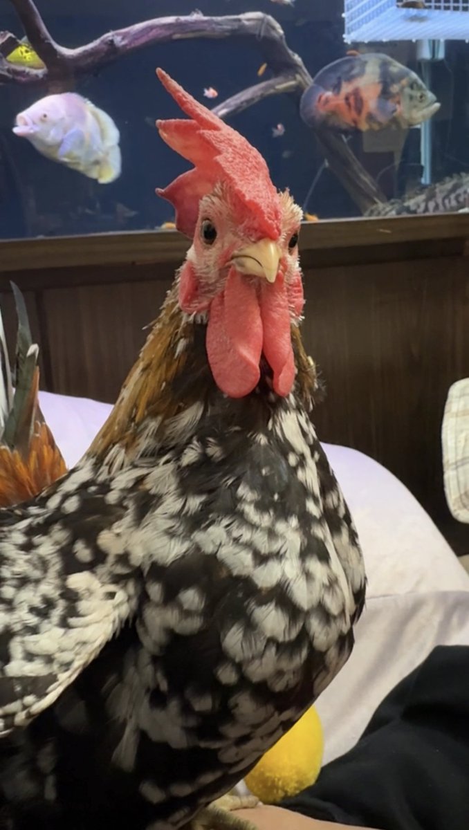 退租囉～房東太太 🌈 tweet media