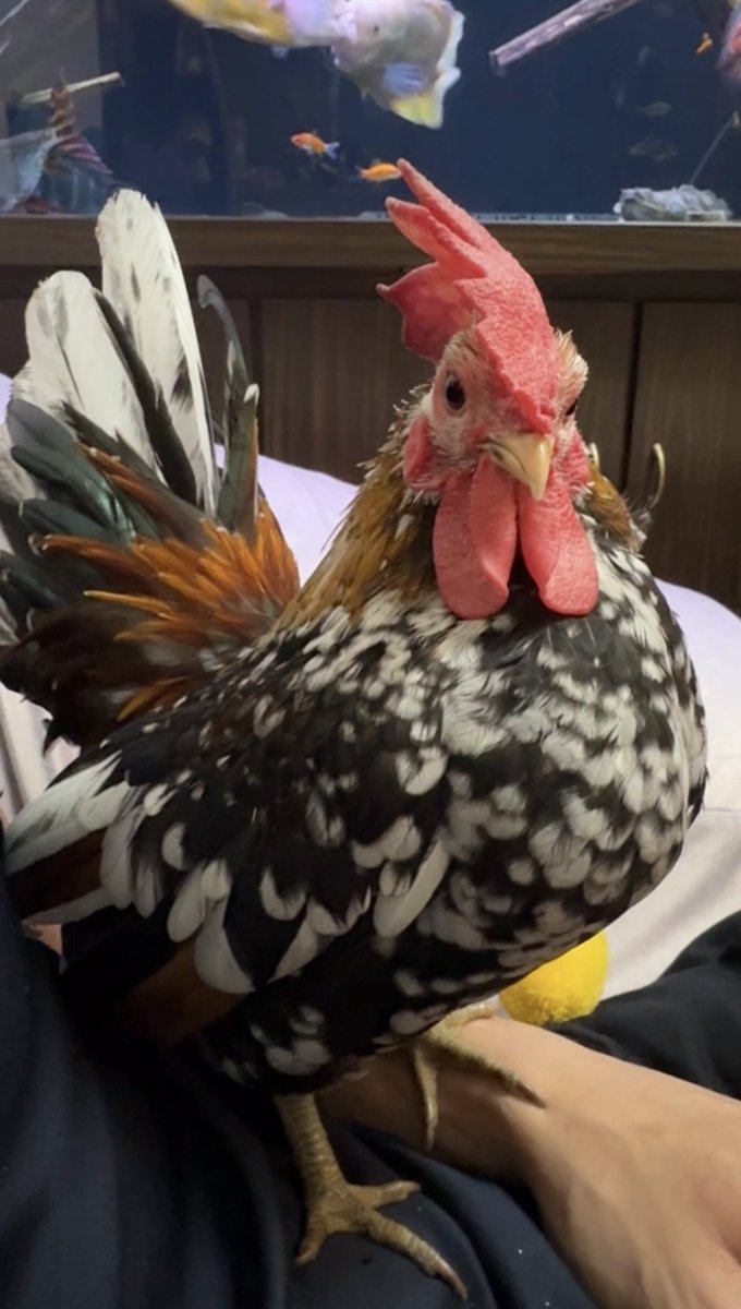 退租囉～房東太太 🌈 tweet media