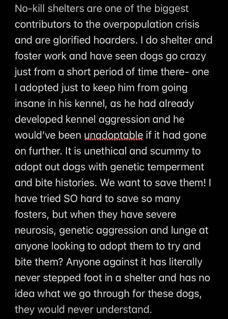 Lamb / Airy 🐑🪶🔜 TFF tweet media