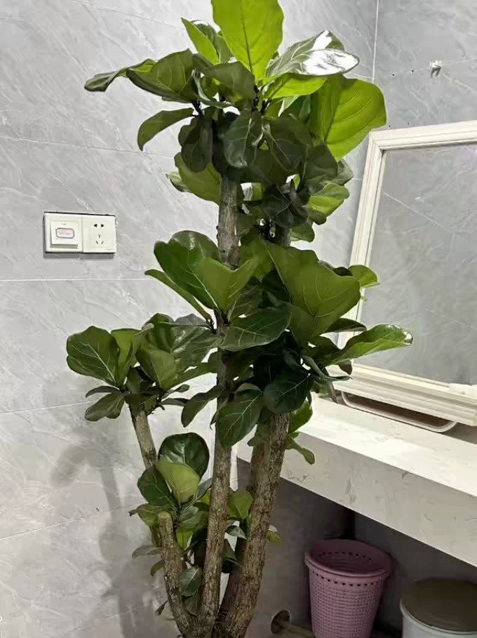 Zach Rokita tweet media