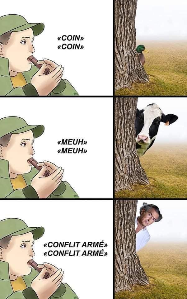 Monira Moon 🗝️ 🇳🇨 ❤️🇵🇸 🔻🇱🇧 tweet media