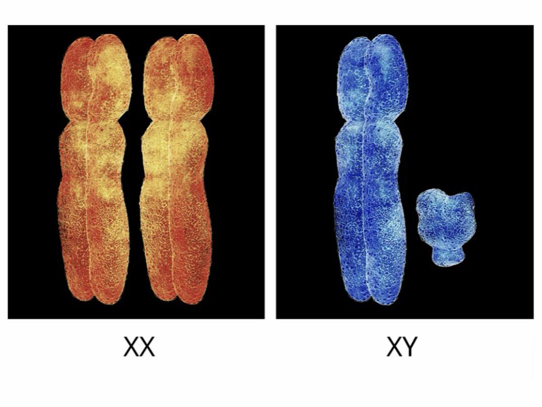 我当刚强壮胆 tweet media