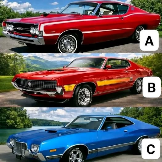 Connie 🇺🇸 tweet media