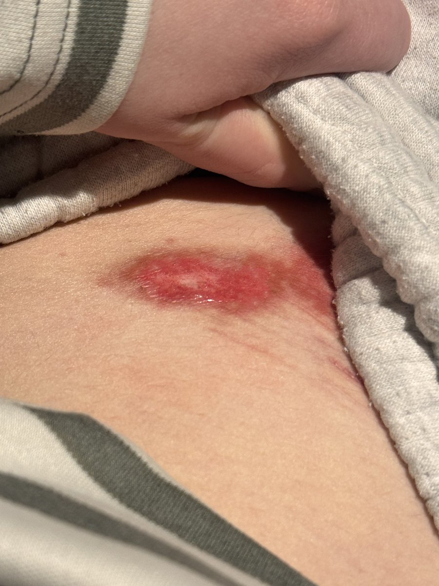 samu𓏲𝄢 shedtwt tweet media