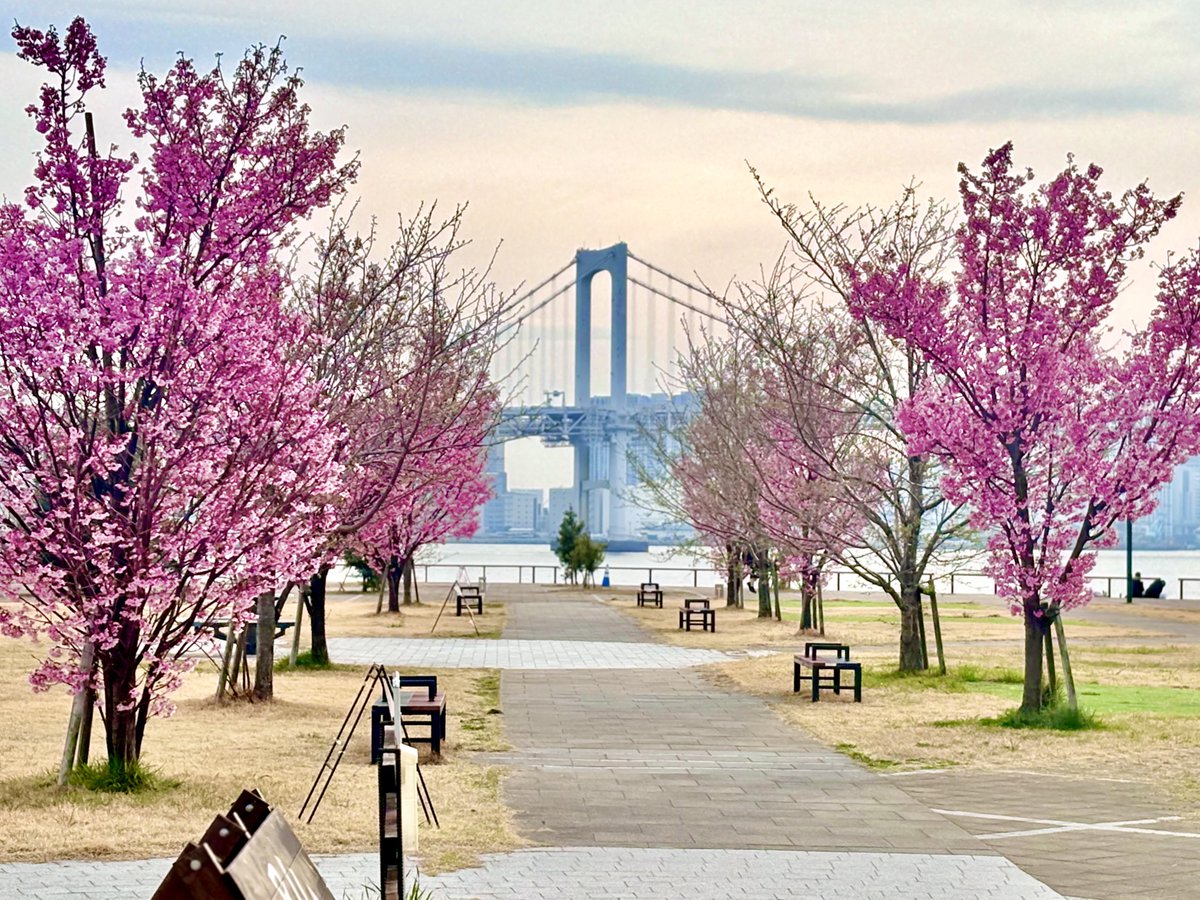 まりこたん tweet media