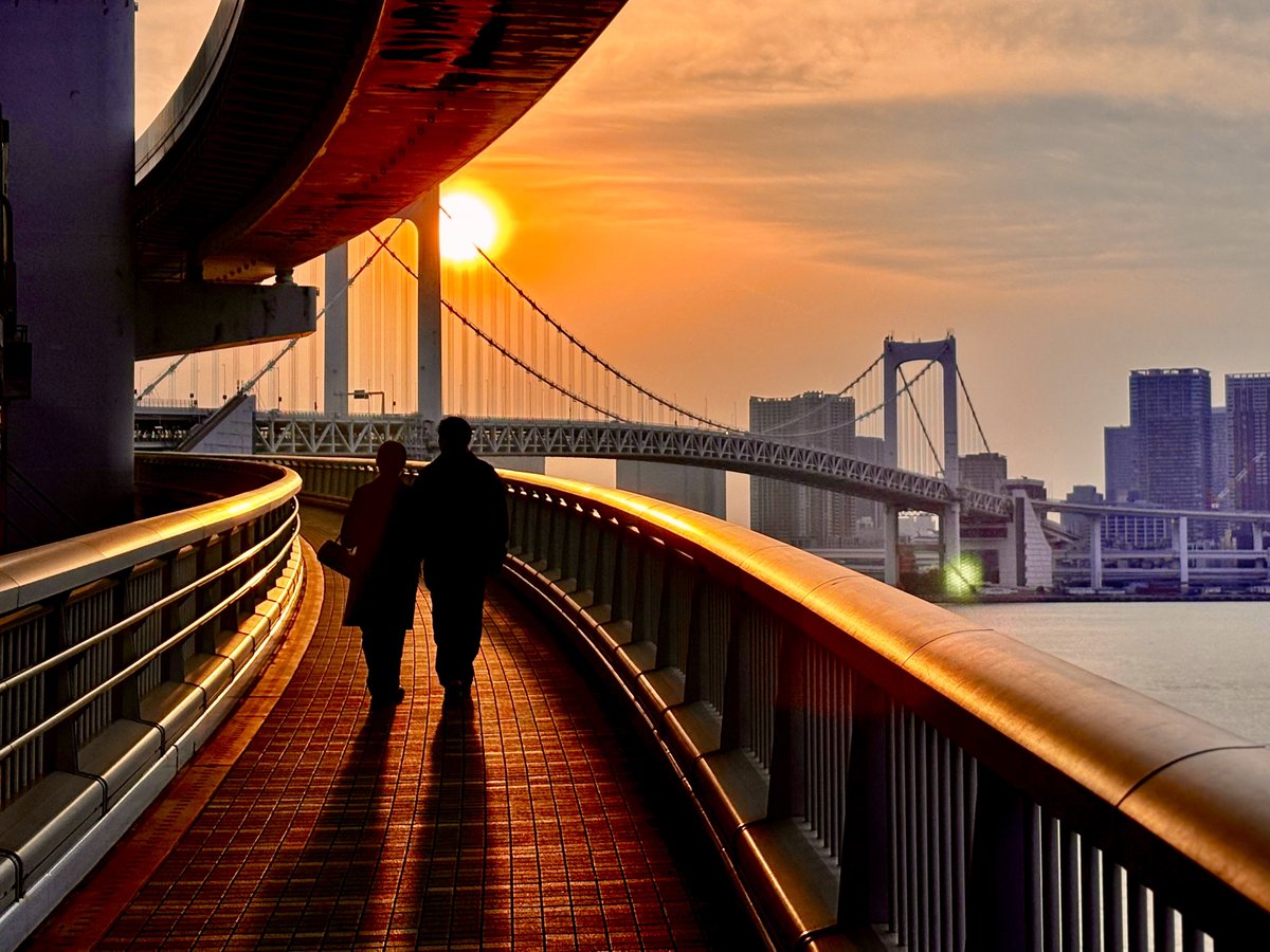 まりこたん tweet media