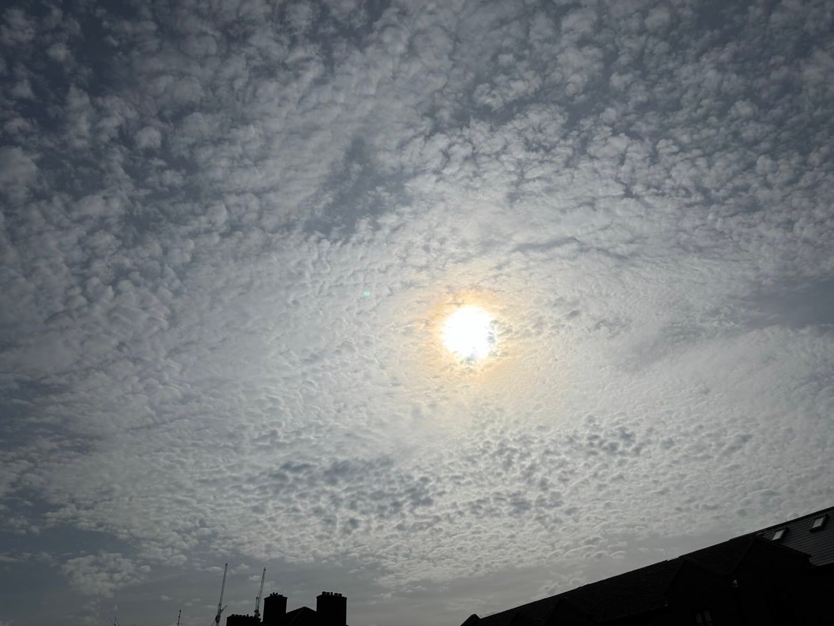 BassCabbieMan 🏴 🇬🇧 🇺🇸 tweet media