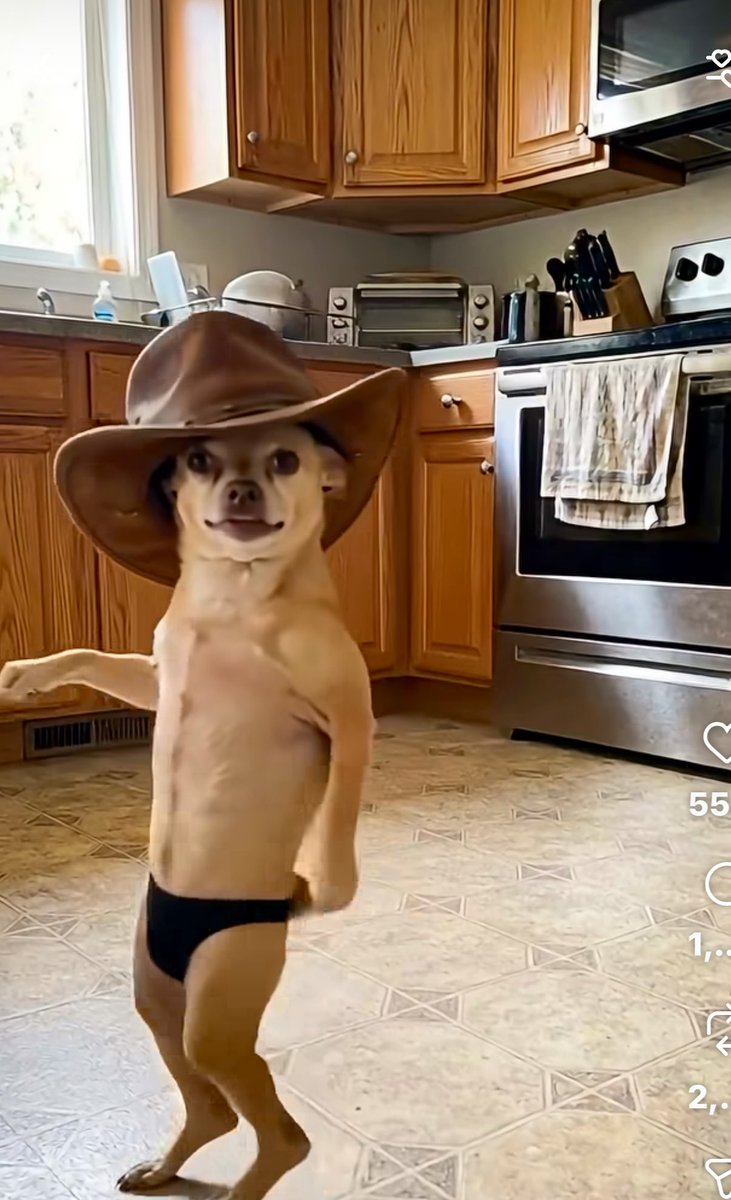 John F Kensil tweet media