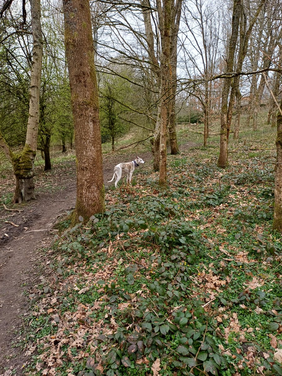 John 🏴🏴🏴 tweet media