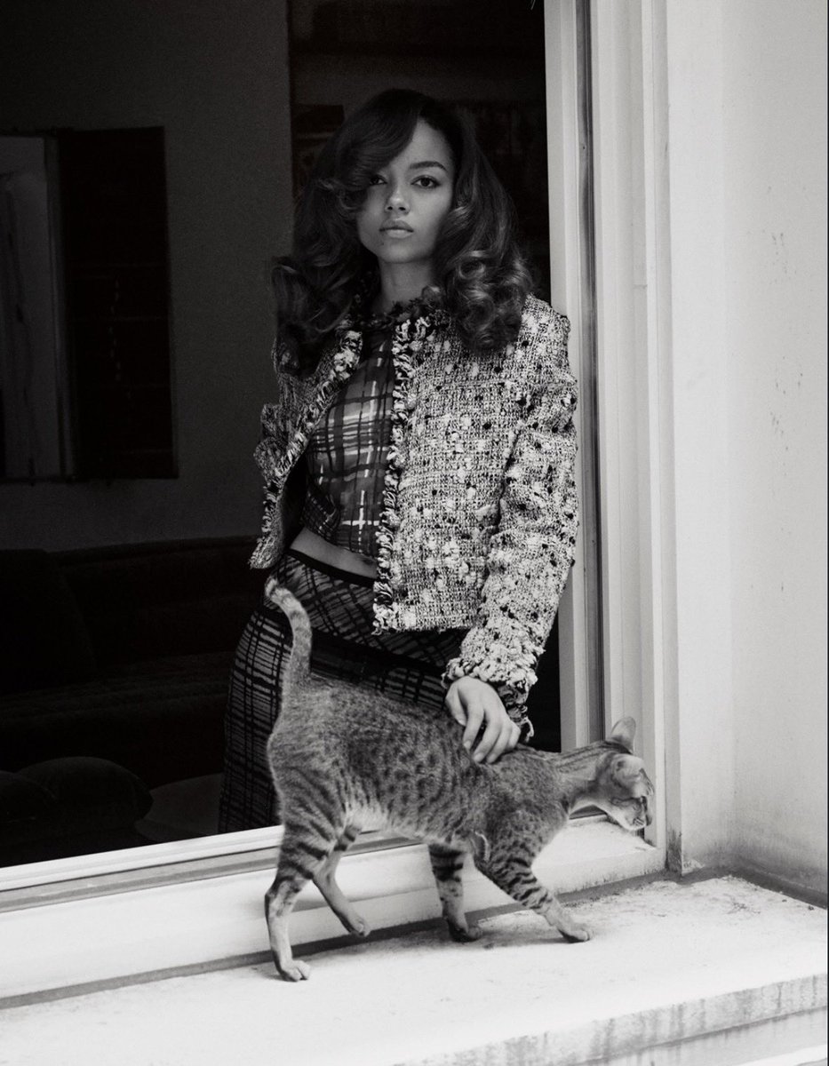 Whitney Peak Updates tweet media