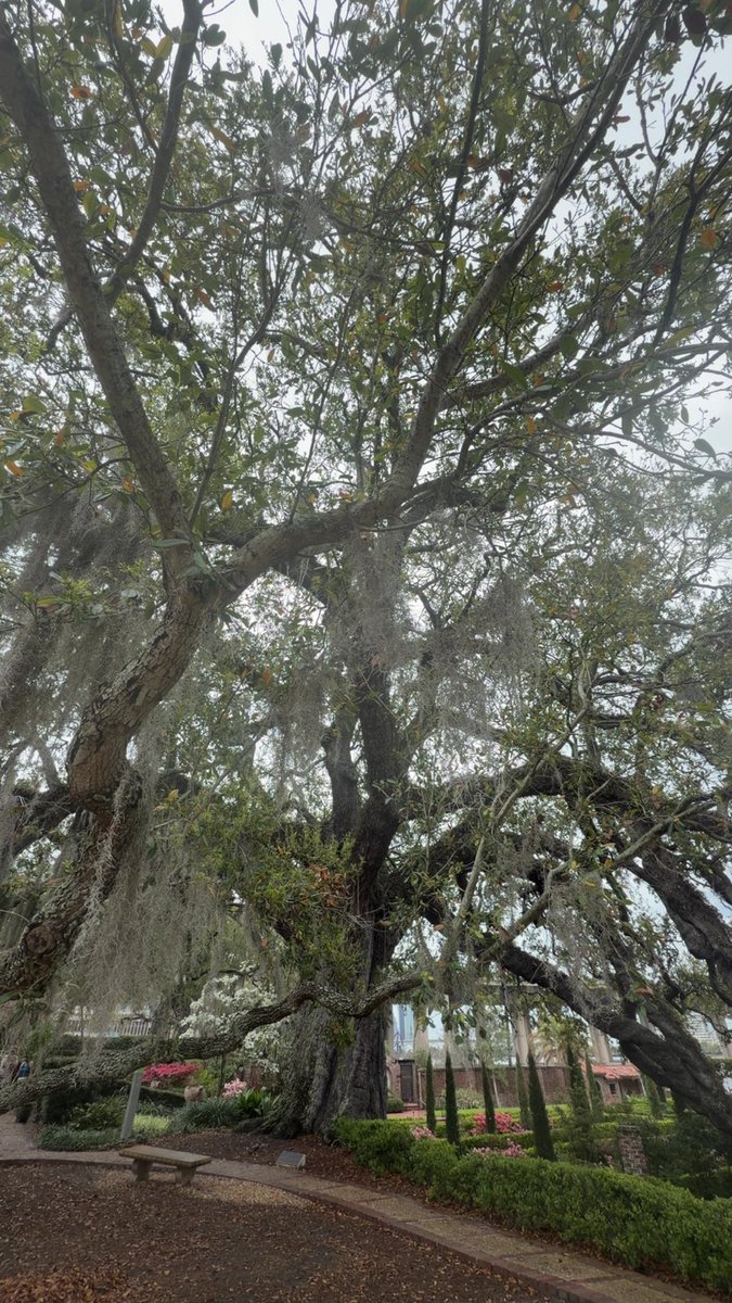 Underhill tweet media