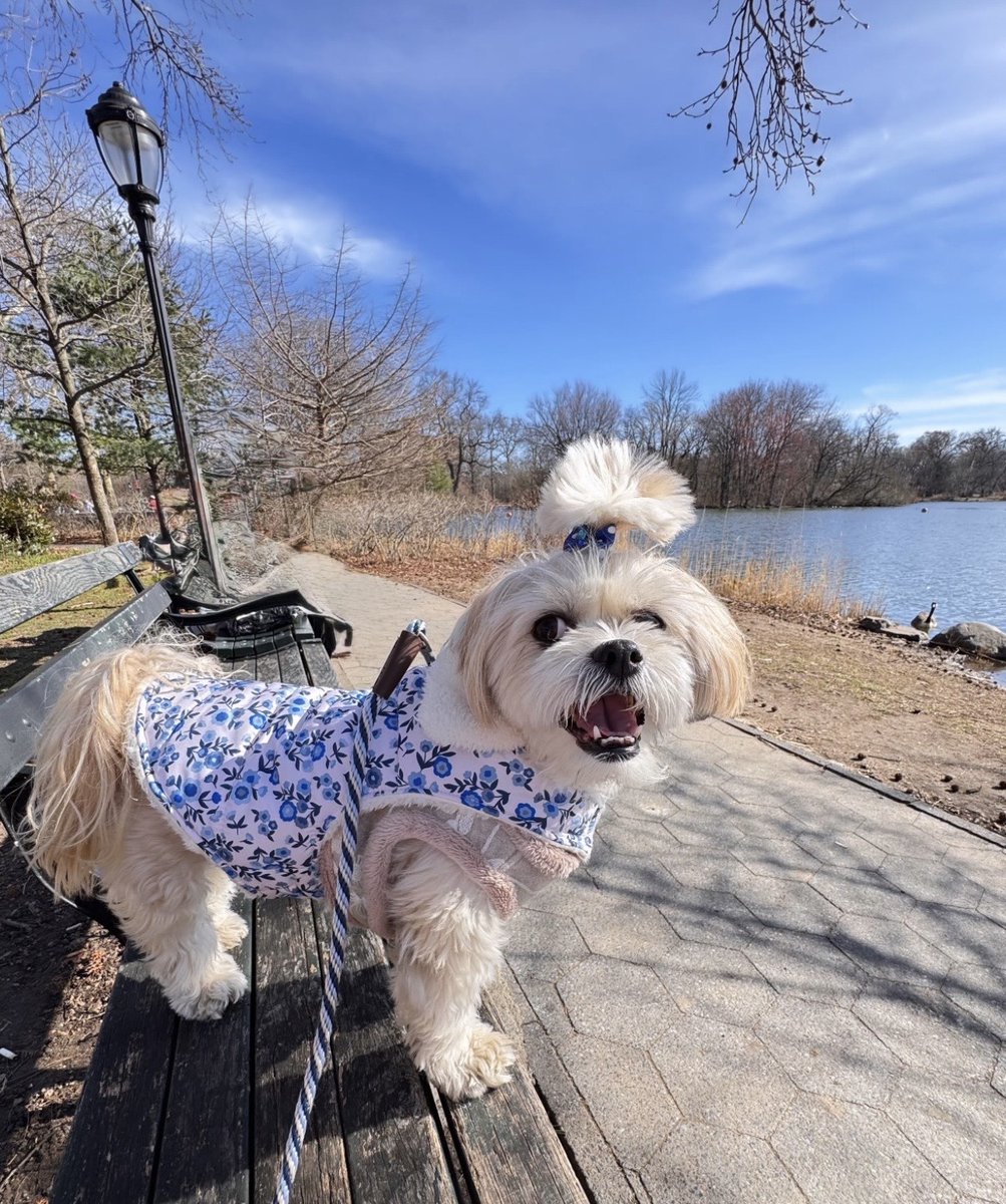 Prospect Park tweet media