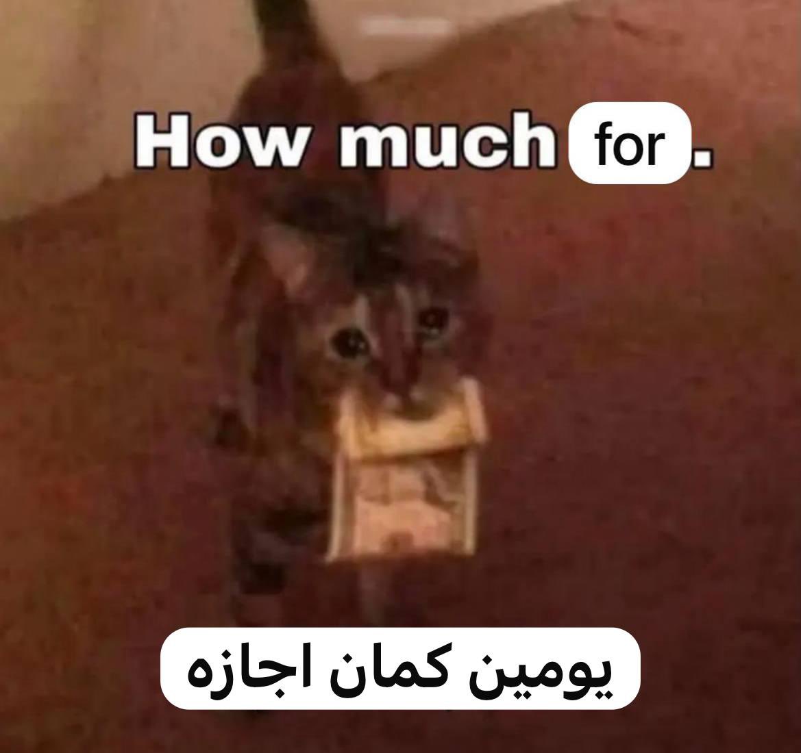 AMIR (@vip_amir_vip) on Twitter photo 