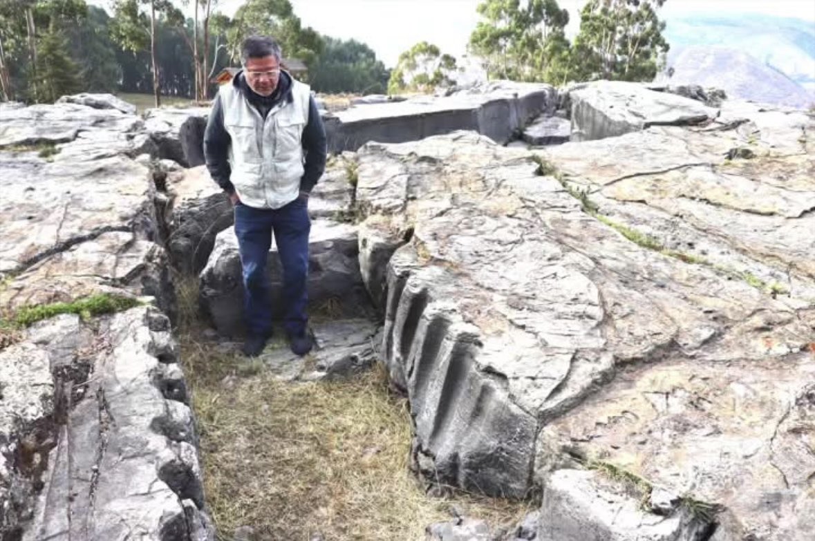 Giacomo Renato Longato tweet media