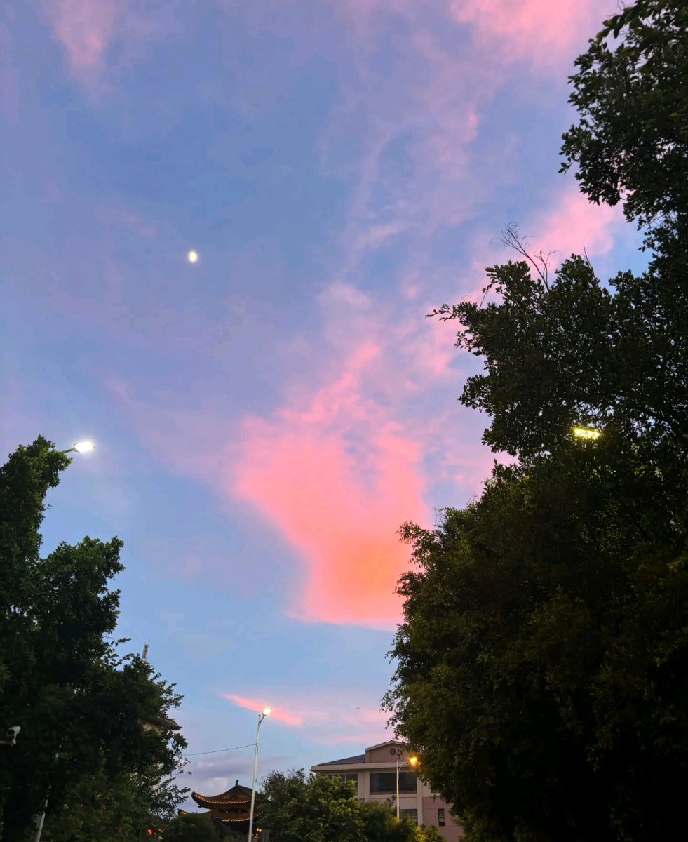 lossele davy tweet media