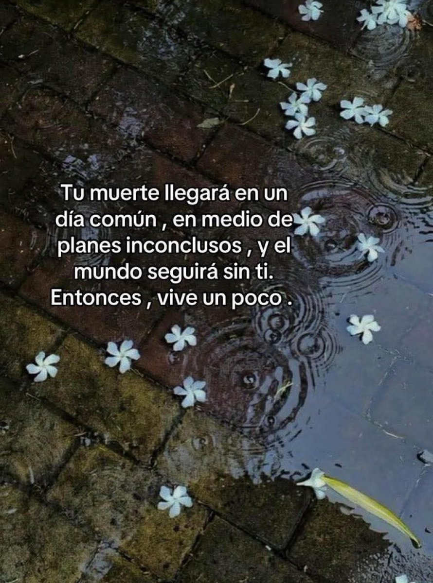 💔🥀🌙 tweet media