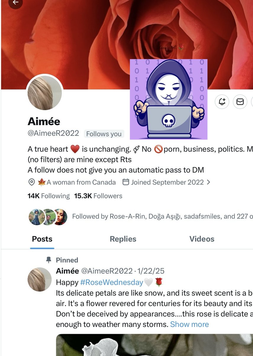 Aimée 2 tweet media