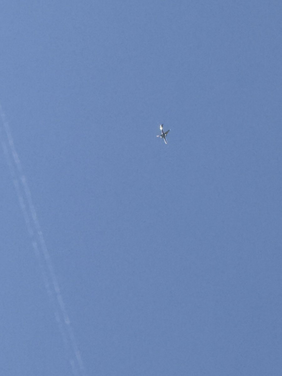 WhimsyGirl.Life tweet media