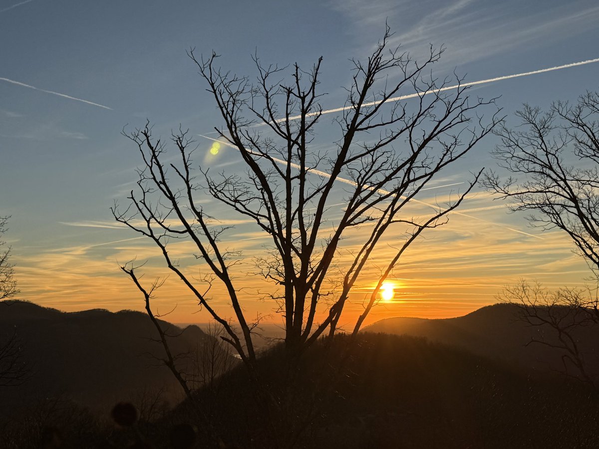 WhimsyGirl.Life tweet media