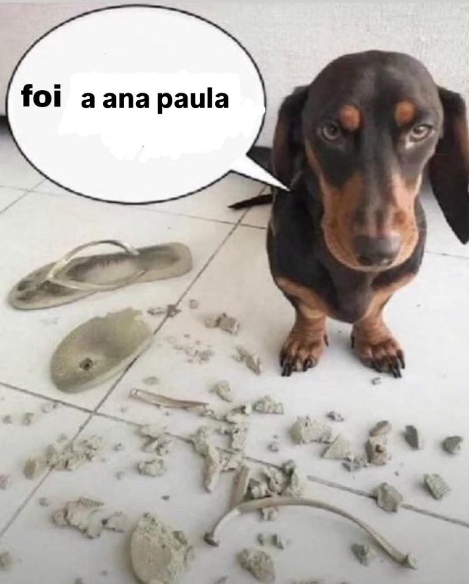 Ana Paula Renault 🧙🏻♀️ tweet media