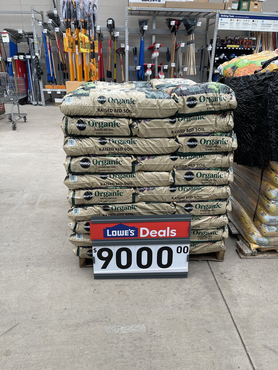 Ethan Mok tweet media