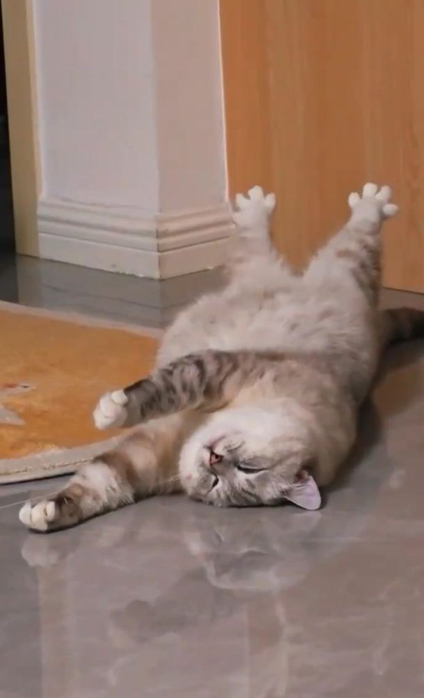 vx-underground tweet media