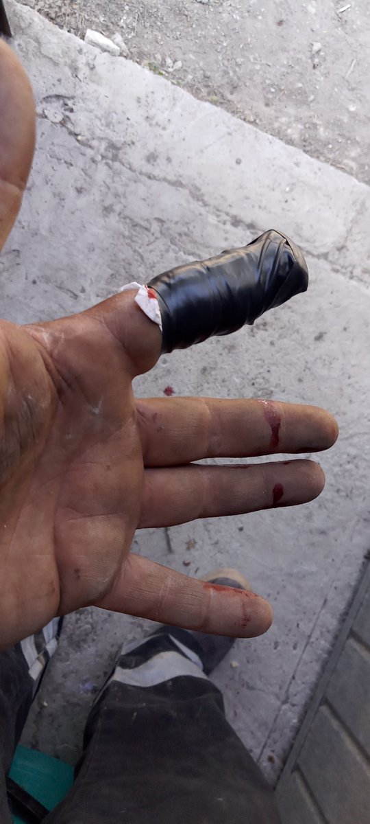 RudolphMaster-A 🍀📍/🤖⏰ tweet media