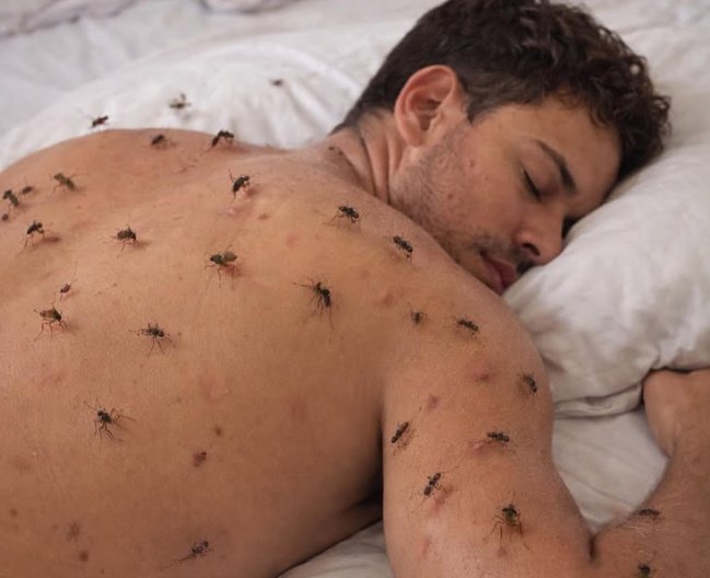 PÁTRIA MAMADA 🤣 tweet media