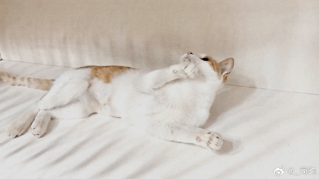 Helena Duncan tweet media