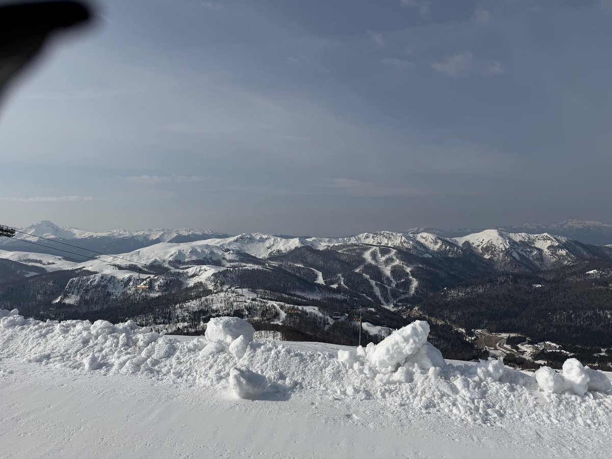 Milos Milojevic tweet media