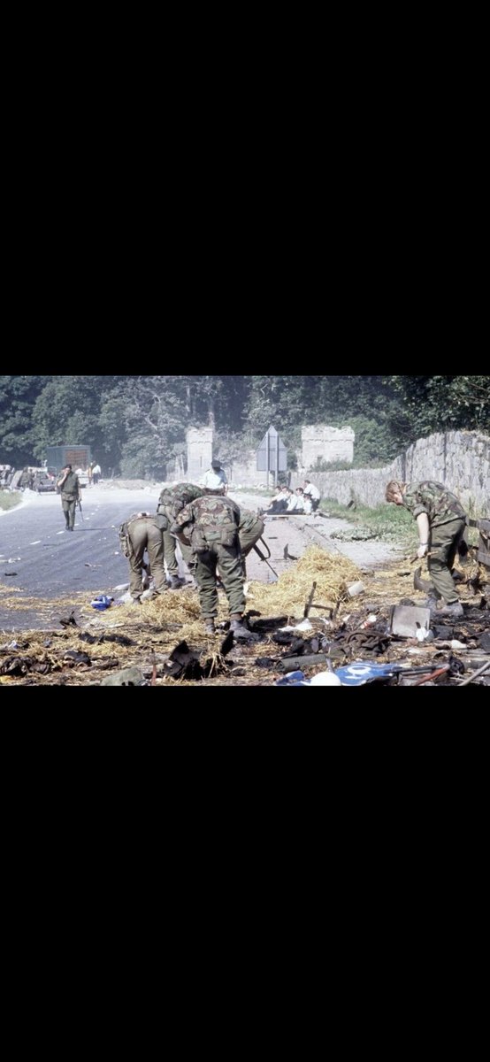 Danny McDaid 🍉 tweet media