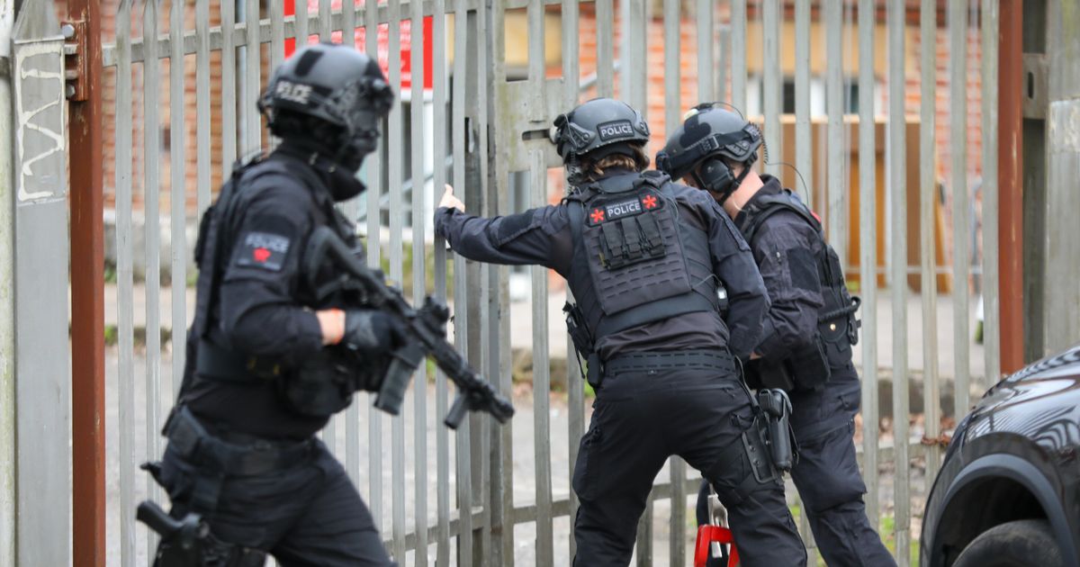 Mirror Breaking News tweet media