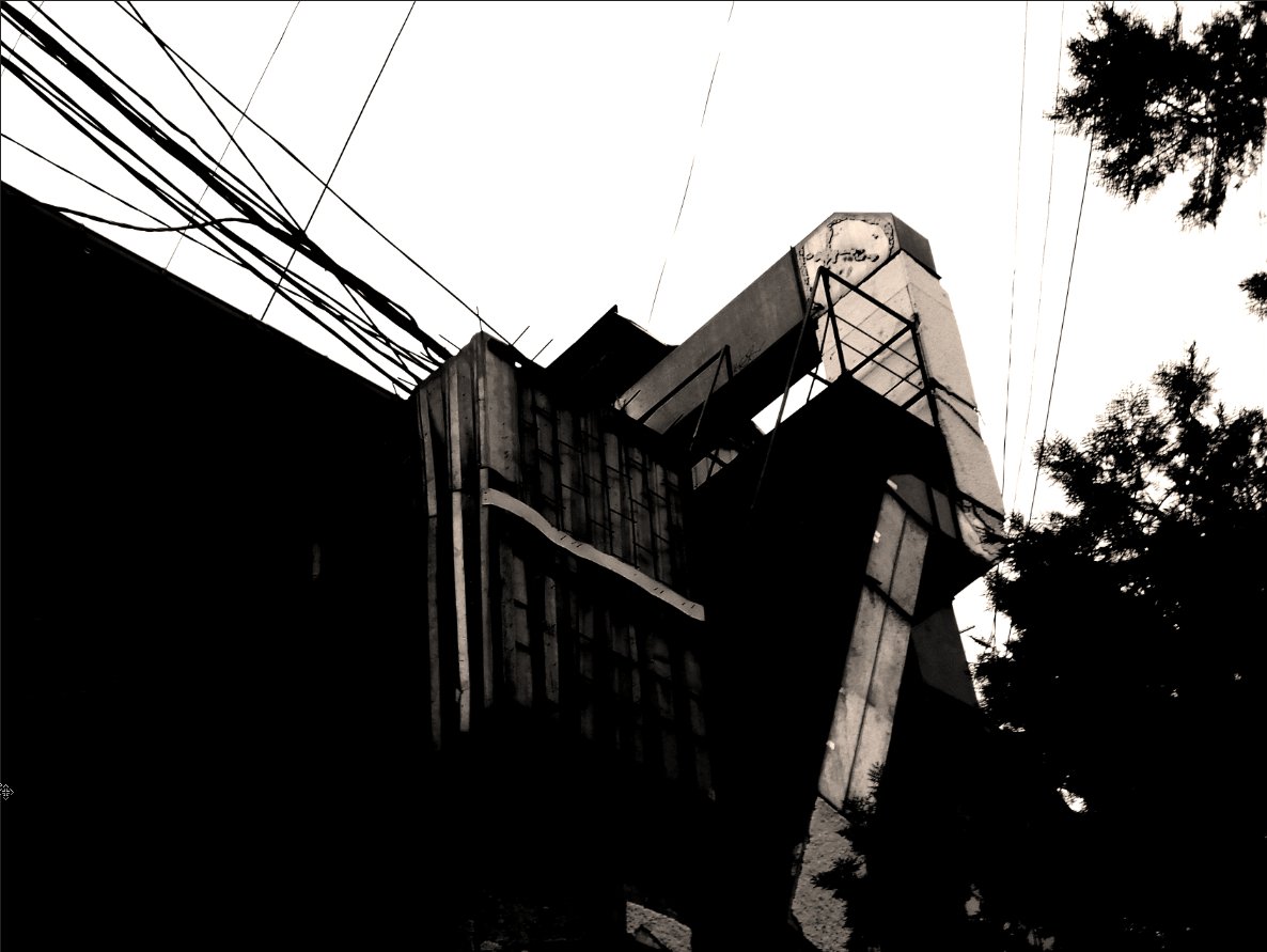 snoıɹǝsun⅋pɐǝp tweet media