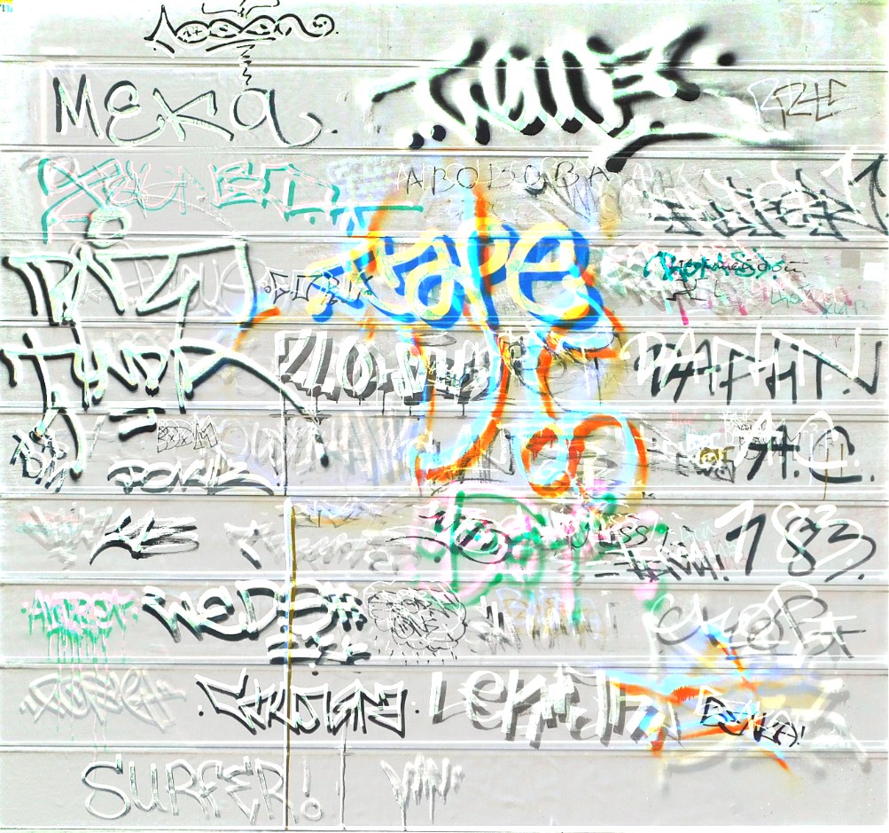 snoıɹǝsun⅋pɐǝp tweet media