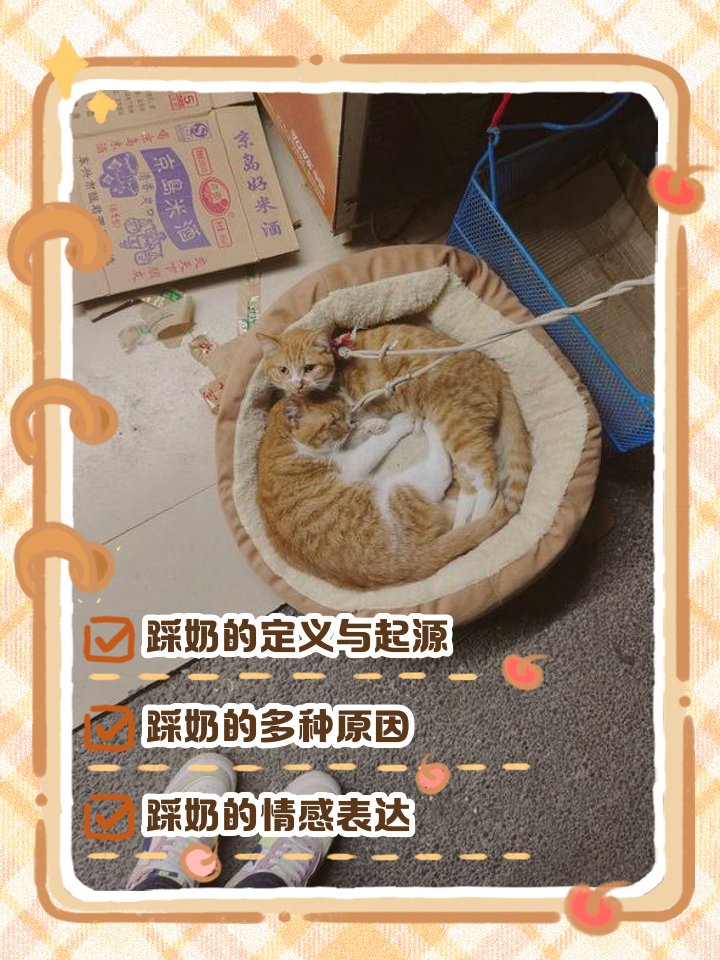 Cristian Perez tweet media