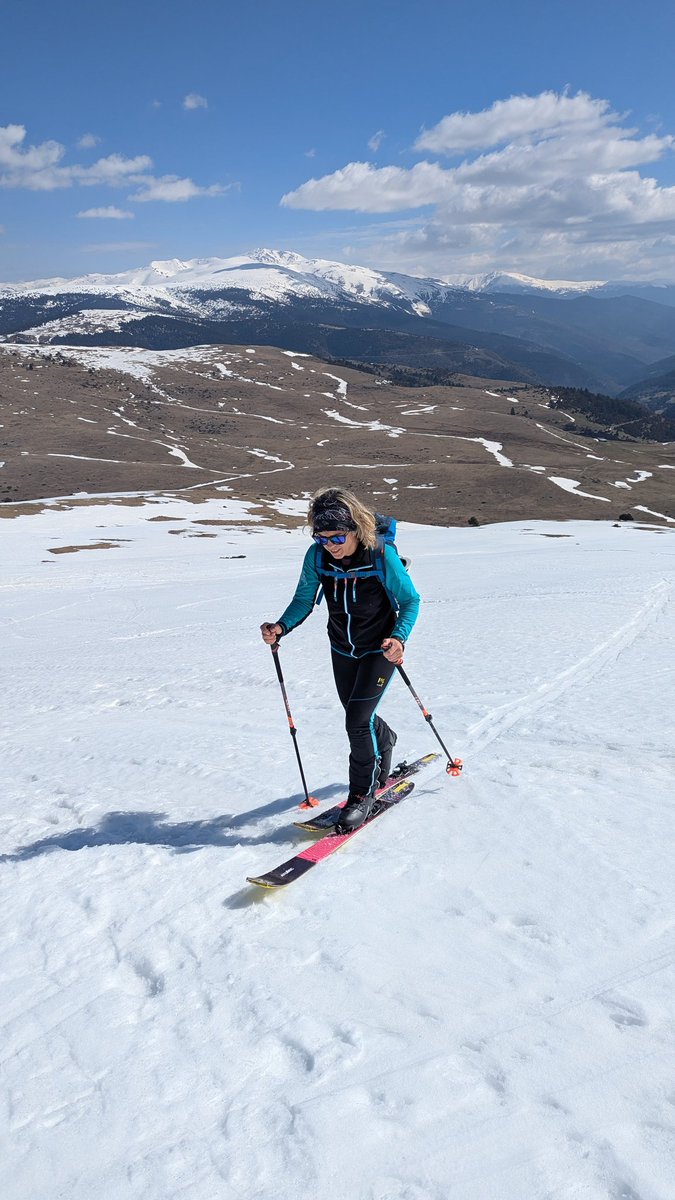 Jordi Campos tweet media