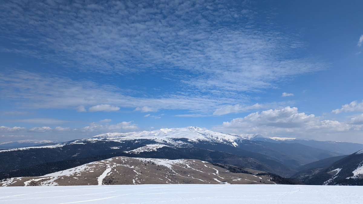 Jordi Campos tweet media