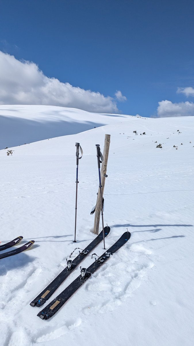 Jordi Campos tweet media