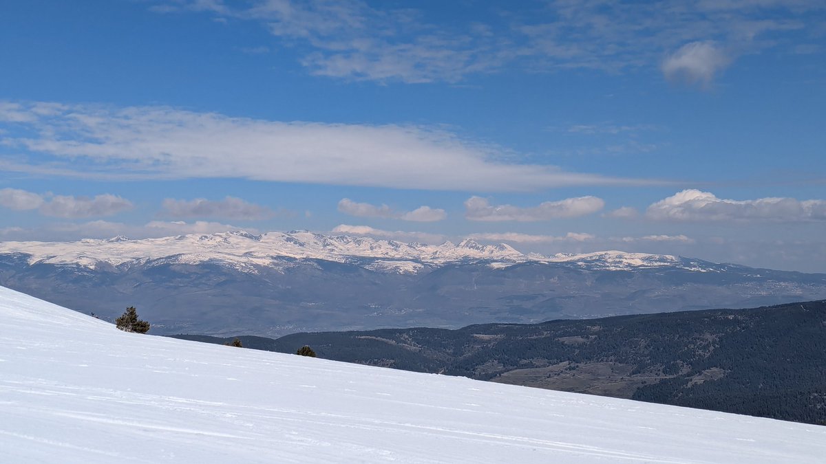 Jordi Campos tweet media