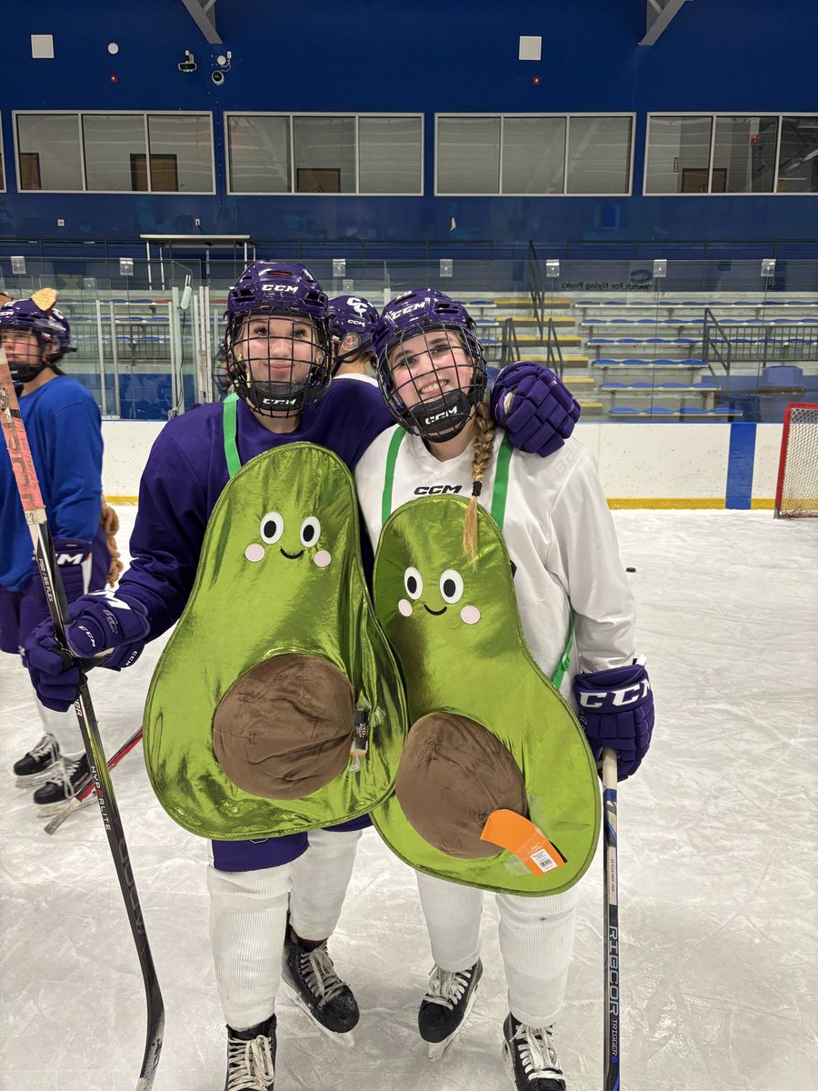 Curry College Women's Hockey tweet media