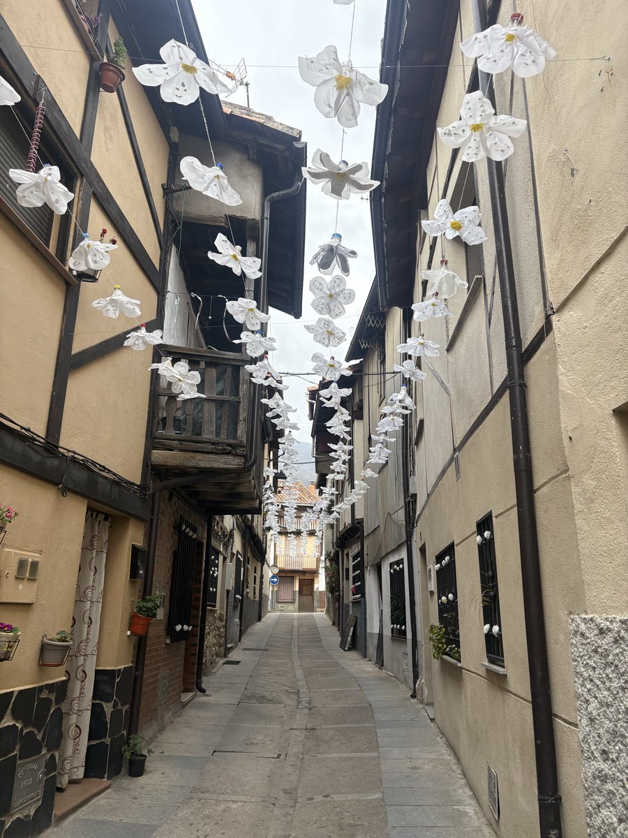 ᎷᎬᎡ 🌱 tweet media