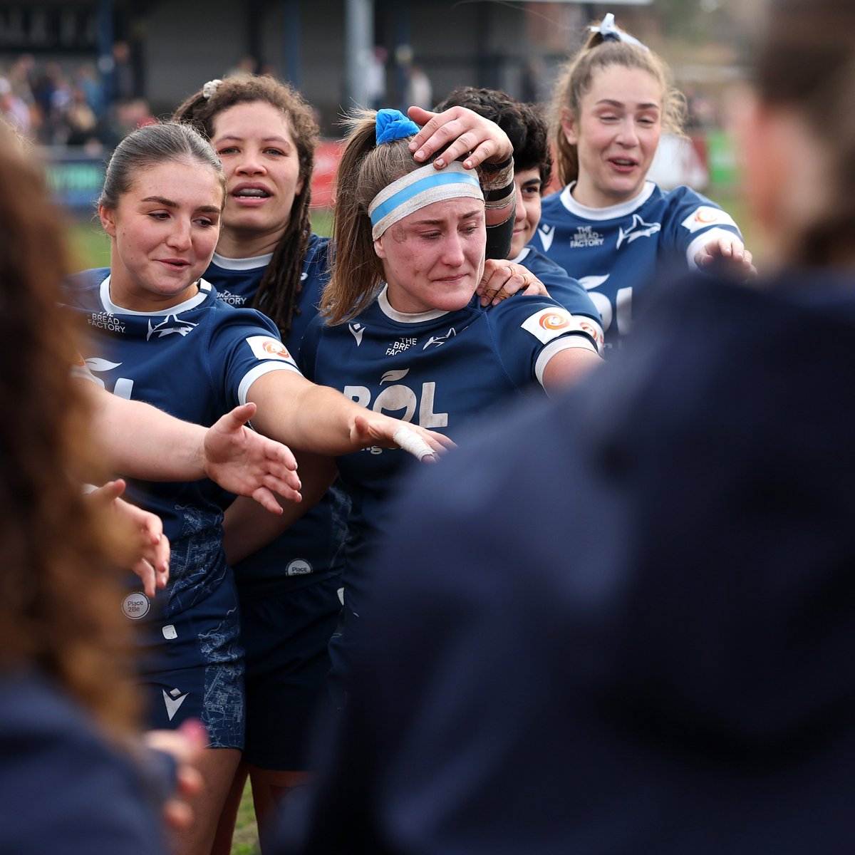 Sale Sharks 🦈 tweet media