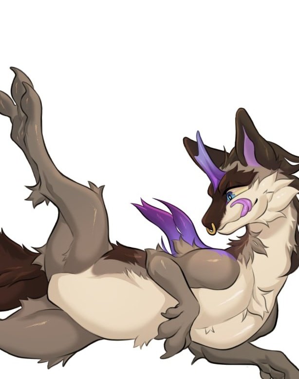 Plateous tweet media