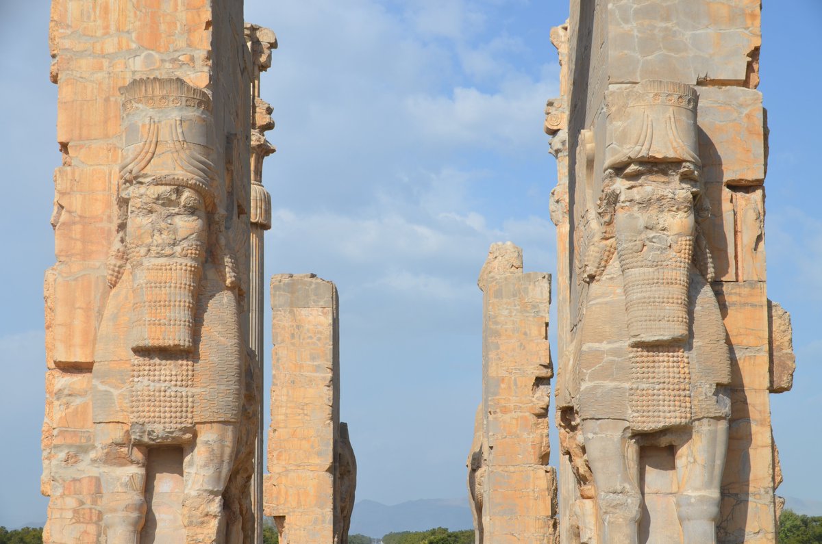 Following Hadrian tweet media