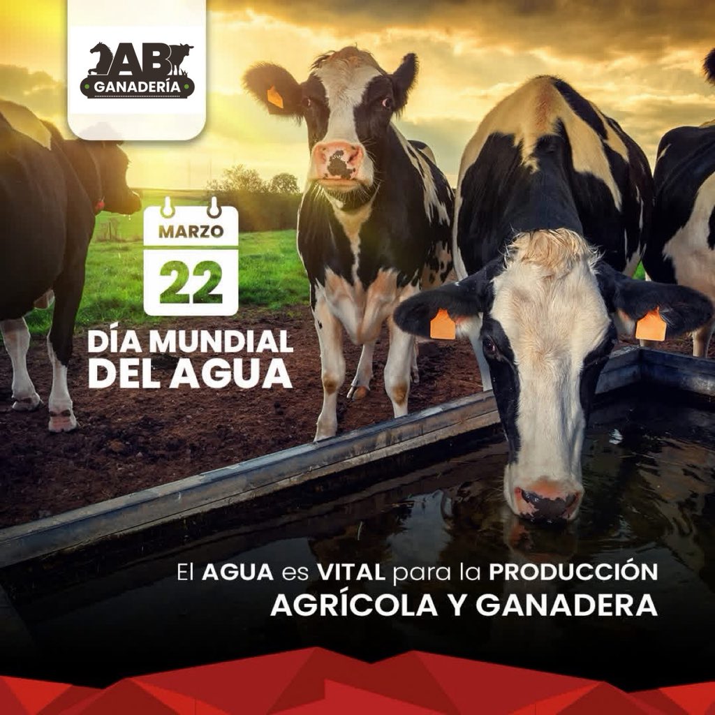 AbGanaderia's tweet photo. Es importante el cuidado del agua; es un insumo fundamental para la producción agrícola y desempeña un papel importante en la seguridad alimentaria. https://t.co/NtVycfE8E7