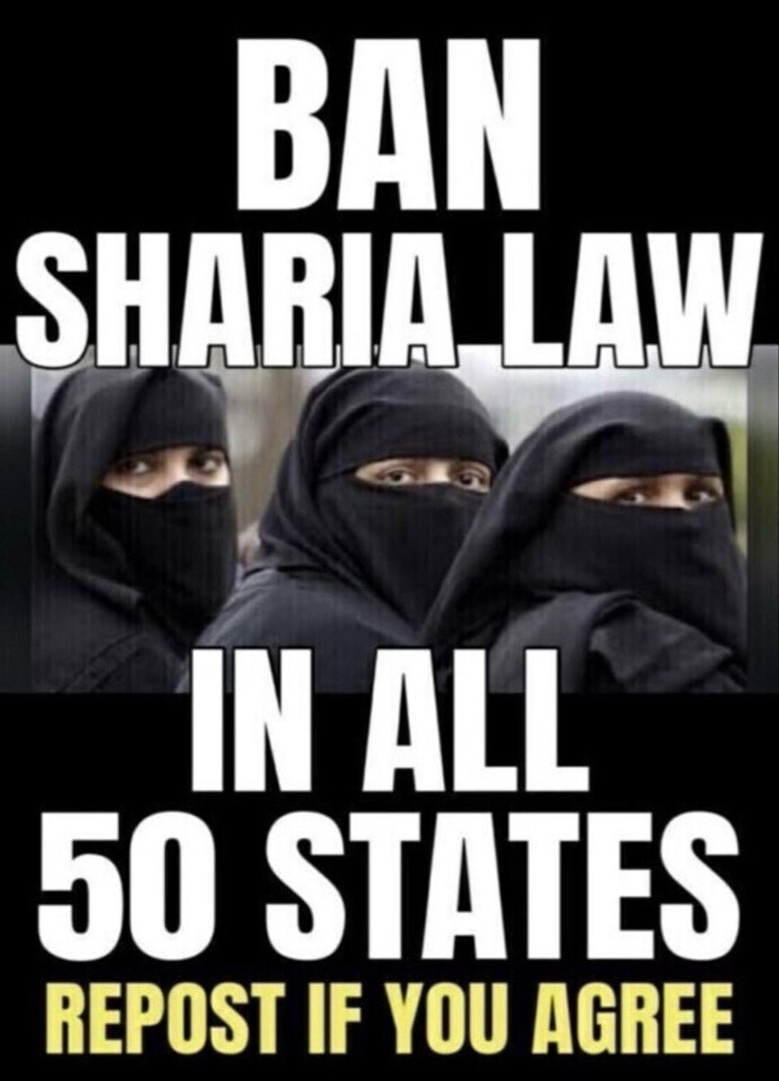 Blondelady2024 tweet media